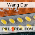 Hard Wang 42
